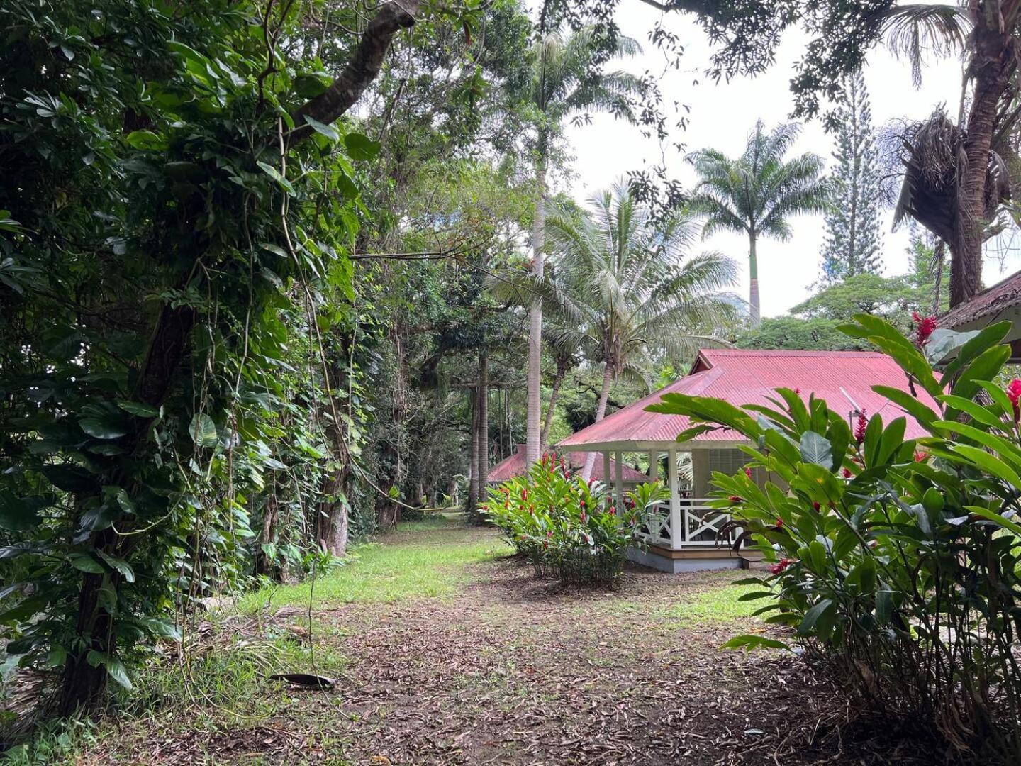 Evasion Bungalow D'Antan Spa Sarraméa Exterior foto